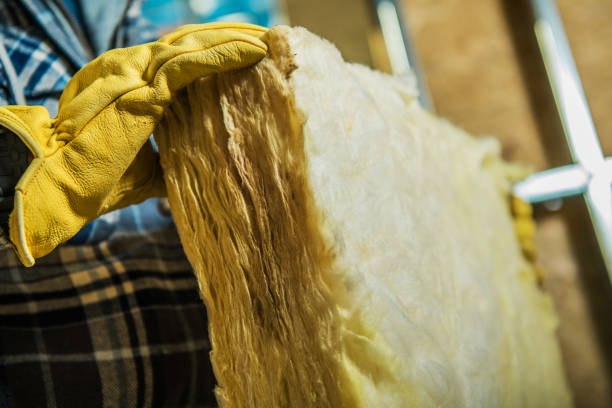 Best Cellulose Insulation in Gibsonburg, OH