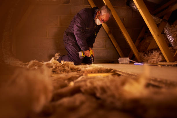 Best Insulation Maintenance and Repair in Gibsonburg, OH